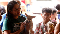 Ciudad de México pide a dueños de mascotas inscribirlas en registro por ley