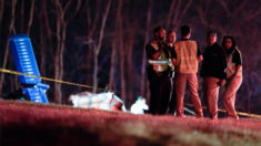 Nashville: Avioneta se estrella cerca de interestatal y mueren 5 personas a bordo, dice la policía