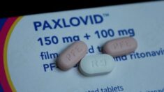Paxlovid utilizado contra COVID-19 ya no está permitido en EE.UU. para uso de emergencia