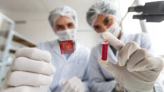 Transfusiones de sangre en personas con COVID y vacunados preocupan a investigadores, proponen cambios