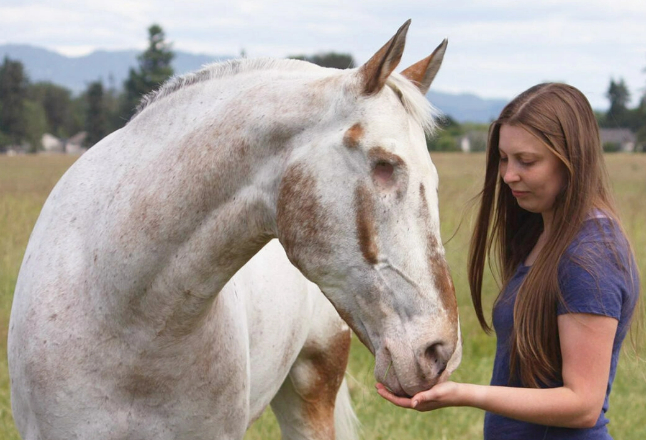 Ciego pero imparable: caballo sin ojos rompe 3 récords mundiales con su dueño inquebrantable