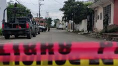Hallan cuatro cuerpos abandonados en vía del puerto mexicano de Tuxpan