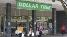 Cadena de tiendas estadounidense Dollar Tree cerrará unos 1000 locales