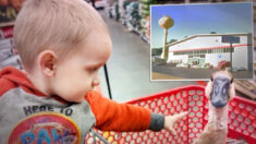 Ganso va de compras al supermercado con su familia y ¡se porta muy bien!