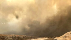 Bomberos luchan para extinguir el incendio forestal más grande en la historia de Texas