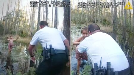 Encuentran a niña autista de 5 años perdida en pantano de Florida