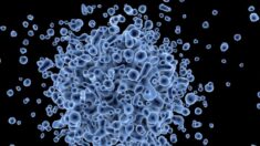 Norovirus, enfermedad en ascenso en algunos lugares de Estados Unidos. Aquí las recomendaciones