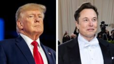 Elon Musk niega que Trump pidiera dinero durante un reciente encuentro casual