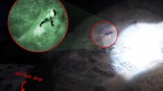 VIDEO: “Aventurero” se aferra a un risco de 60 pies y es rescatado por un oficial en helicóptero