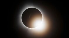 FOTOS: Así se vivió el eclipse solar que cruzó América del Norte