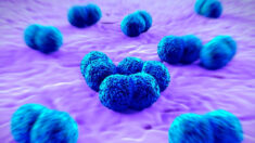 CDC advierten sobre inquietante aumento de casos mortales de meningococo