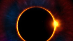 Reclusos podrán ver el eclipse solar en Nueva York tras acuerdo legal