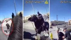 En fascinante y efectiva persecución a caballo policía detiene a sospechoso de robo en Nuevo México