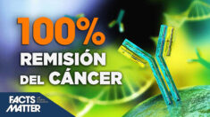 100% de remisión del cáncer en pacientes de un ensayo con anticuerpos monoclonales
