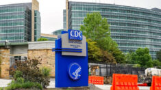 Los CDC envían nueva «alerta sanitaria» sobre gripe aviar en EE.UU.