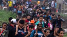 Más del 60 % de los migrantes que atravesaron el Darién en 2024 son venezolanos
