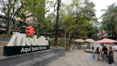Alcaldía de Medellín y Airbnb firman acuerdo para combatir explotación sexual de menores