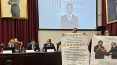 La comunidad académica preocupada por el nuevo Instituto Confucio en Sevilla: Entrevista a Mar Llera