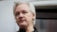 Julian Assange obtiene derecho a impugnar su extradición a EE.UU.