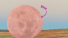 Luna Rosa: Después de eclipsar al Sol esta luna llena iluminará abril