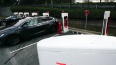 Tesla: Acciones caen casi 9% ante disminuición de demanda de vehículos eléctricos