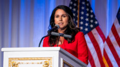 Tulsi Gabbard dice que rechazó la invitación de RFK Jr. para ser vicepresidenta