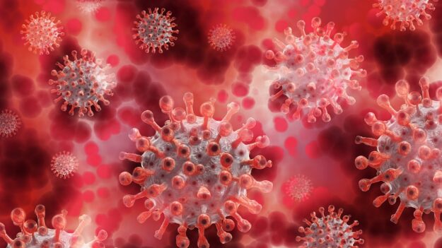 Células inmunitarias son más susceptibles a infecciones pulmonares por COVID