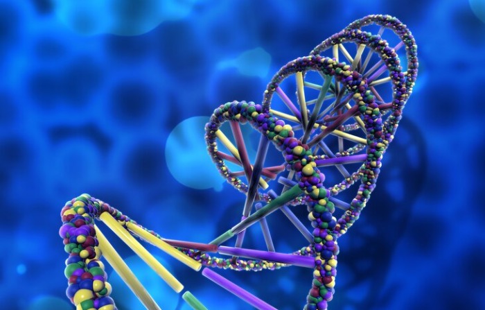 El ADN humano tiene una estructura de doble hélice. (Kjpargeter/Freepik)