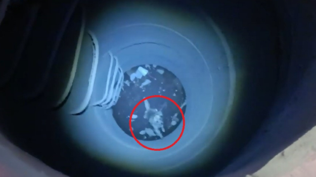 Así fue el arriesgado rescate de un perrito que cayó a 30 metros de profundidad: Video