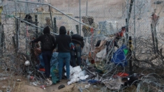 Detienen en norte de México a pareja que cobraba 292 dólares a migrantes por cruzar a EEUU