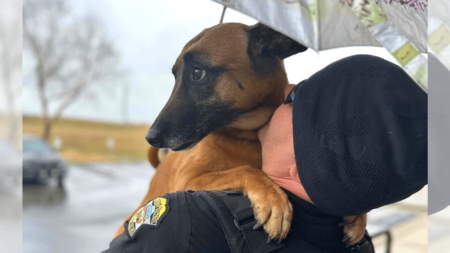 Perrita que le teme a los truenos salta a los brazos de un policía en busca de consuelo: VIDEO