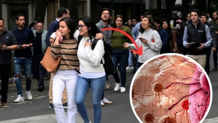 Leucemia mieloide ataca a población cada vez más joven en México, asegura experto
