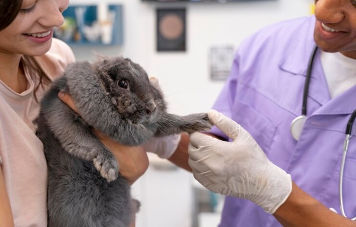 Científico descubre que la bondad favorece la salud del corazón tras dar amor a conejos de prueba