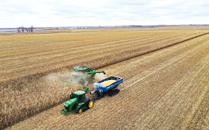Agricultores cosechando maíz el 31 de octubre de 2023, cerca de McIntire, Iowa. (Scott Olson/Getty Images)