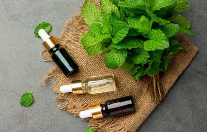 Aceite esencial de menta en botella con menta verde fresca. Imagen Ilustrativa (Jcomp/Freepik)