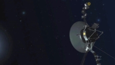 NASA tuvo noticias de la Voyager 1, la nave espacial más lejana de la Tierra, tras meses de silencio