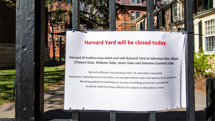 Estudiantes de Harvard levantan tiendas de campaña para protestar contra guerra entre Israel y Hamás