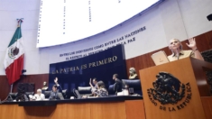 Senado de México aprueba en lo general la creación de nuevo fondo de pensiones