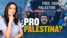 ¿Qué significa ser ‘pro Palestina’?