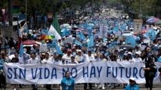 Activistas provida marchan en México para pedir respeto a la vida y atención a mujeres