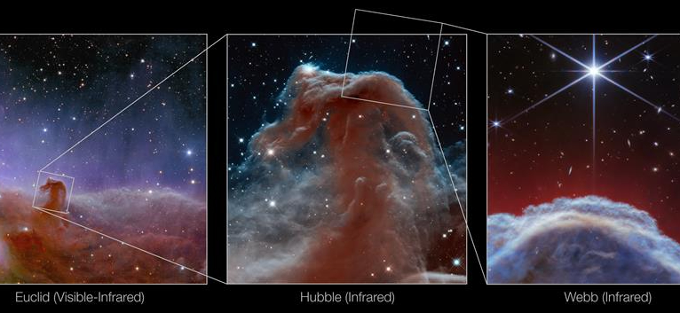 El telescopio espacial James Webb ha captado imágenes de la icónica nebulosa "Cabeza de Caballo" -una nube de gas fría situada a unos 1300 años luz de la Tierra- con un nivel de detalle y una resolución sin precedentes. EFE/NASA/ESA