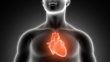 Tasas de mortalidad por insuficiencia cardíaca alcanzan su nivel más alto en 20 años