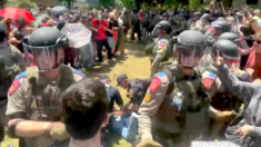 Nuevas detenciones en Universidad de Austin mientras grupo pro-palestino instala campamento