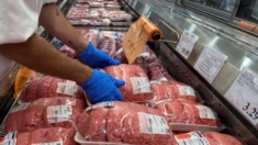 EE. UU. está analizando si la carne molida de vacuno tiene gripe aviar tras brote en vacas lecheras