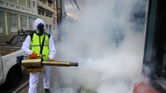 Guatemala se declara en emergencia sanitaria nacional por epidemia de dengue