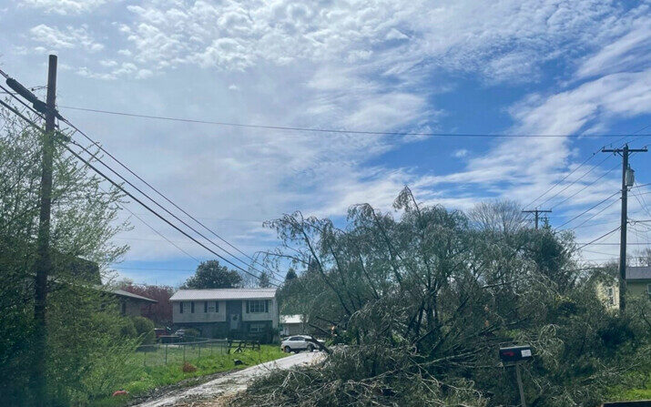 Un árbol cubre una carretera después de que azotaran fuertes tormentas en Cross Lanes, West Virginia, el 2 de abril de 2024. (John Raby/AP Photo)