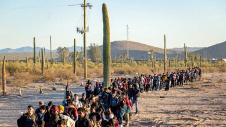 Inmigrantes que invadieron viviendas en NY fueron detenidos y liberados en la frontera