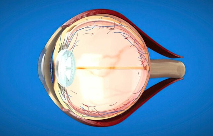 Estudio revela riesgo elevado de trastorno inflamatorio ocular después de la vacuna contra COVID-19