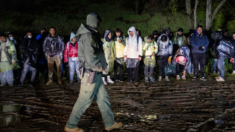 Cuestionan a la Administración Biden por sus cuotas de refugiados en medio de la crisis fronteriza