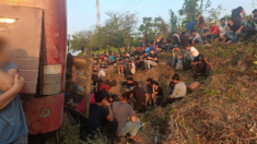 Encuentran a 407 migrantes abandonados en tres autobuses en sur de México